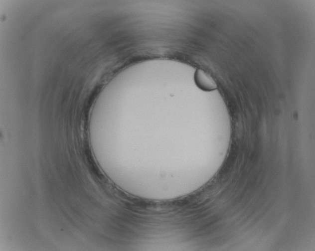 X0000076380739200610202039