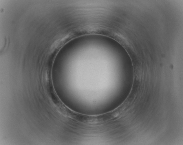 X0000076380740200610202039