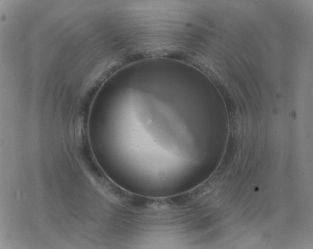 X0000076380742200610202039