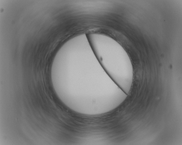 X0000076380743200610202039