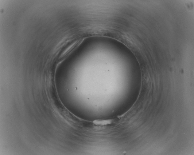 X0000076380744200610202039