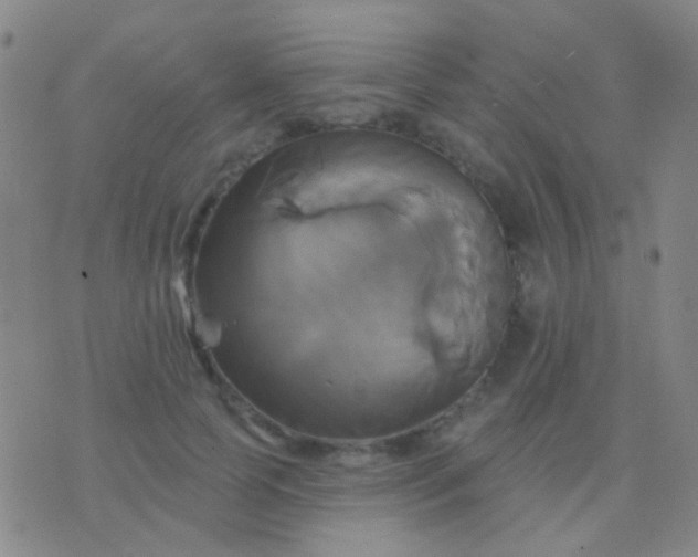 X0000076380745200610202039