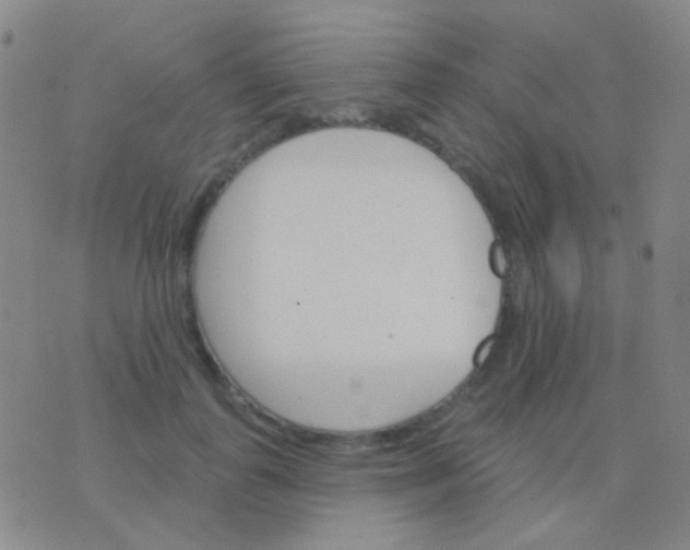 X0000076380747200610202039