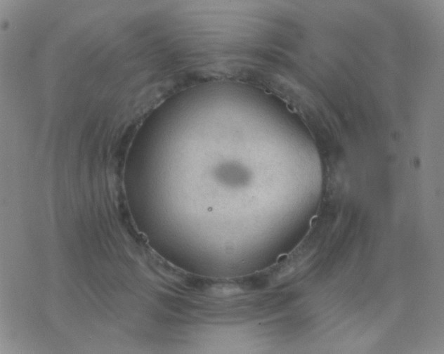 X0000076380749200610202039