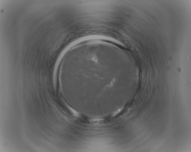 X0000076380750200610202039