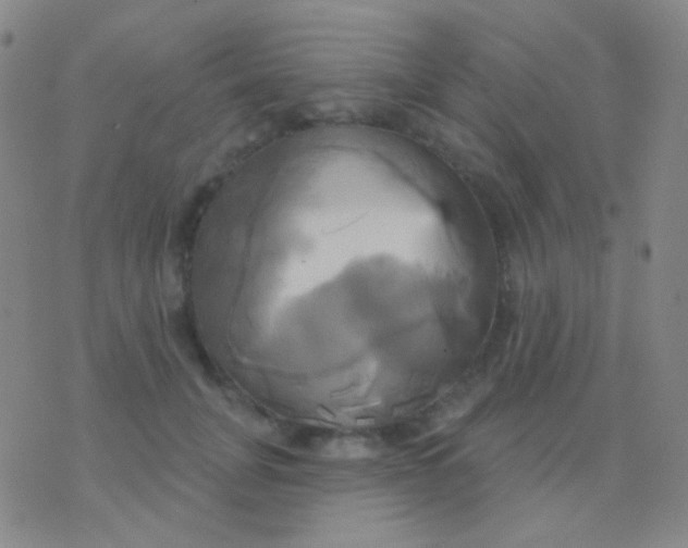 X0000076380751200610202039