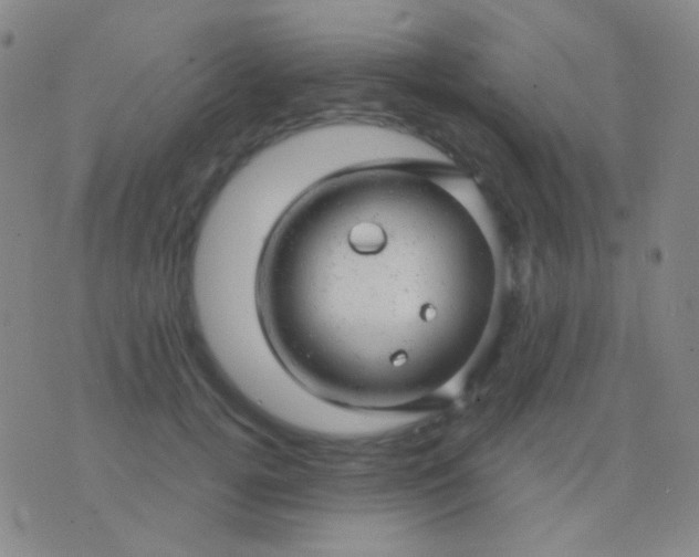 X0000076380752200610202039