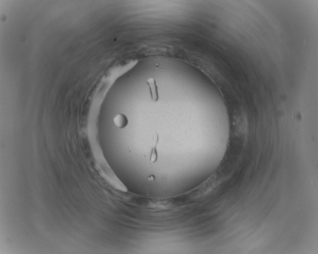 X0000076380753200610202039