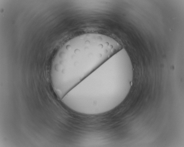 X0000076380755200610202039