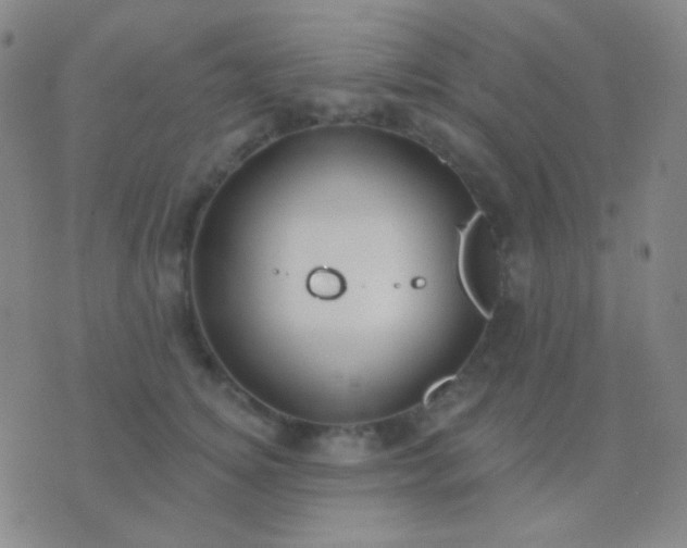 X0000076380756200610202039