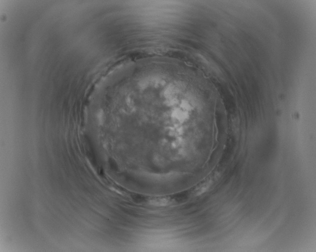 X0000076380757200610202039