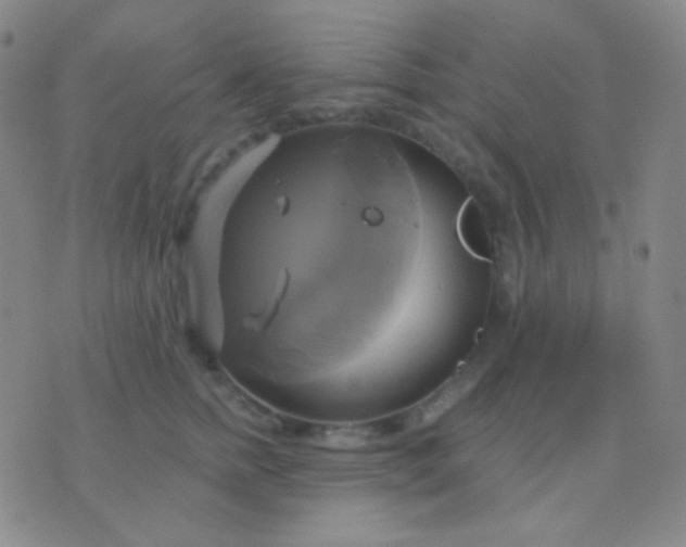 X0000076380758200610202039