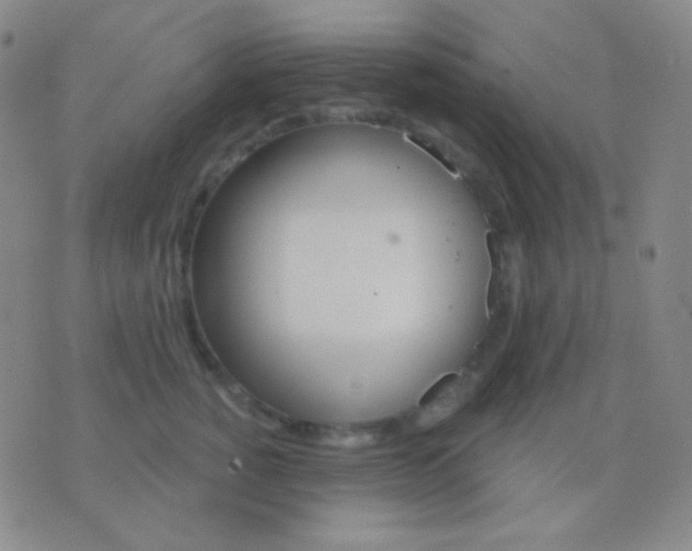 X0000076380760200610202039