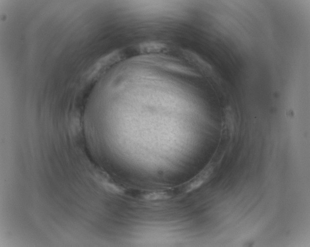 X0000076380761200610202039