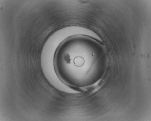 X0000076380762200610202039