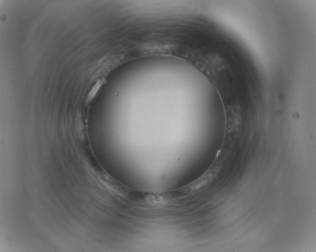 X0000076380764200610202039