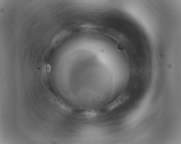 X0000076380765200610202039