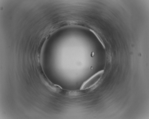 X0000076380766200610202039