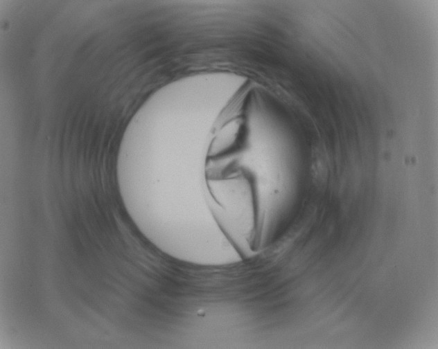 X0000076380767200610202039