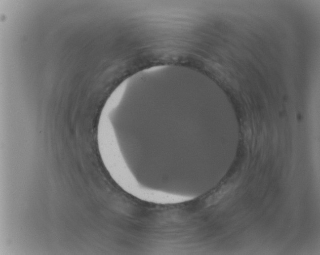 X0000076380769200610202038