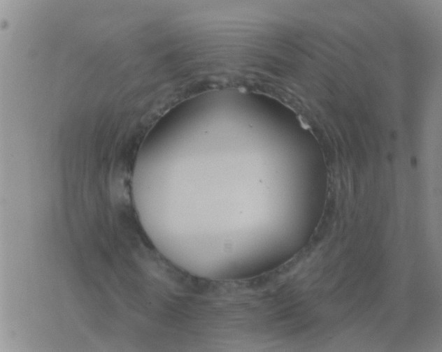 X0000076380770200610202038