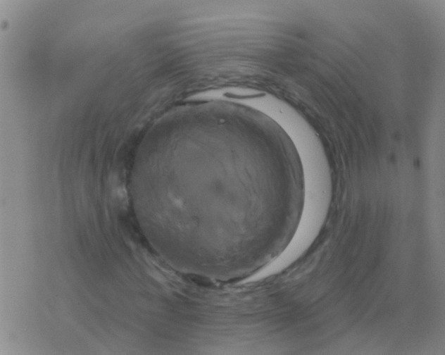 X0000076380771200610202038