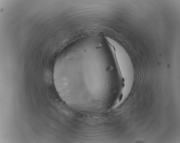 X0000076380772200610202038