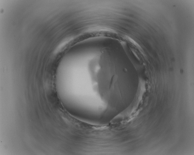 X0000076380775200610202038