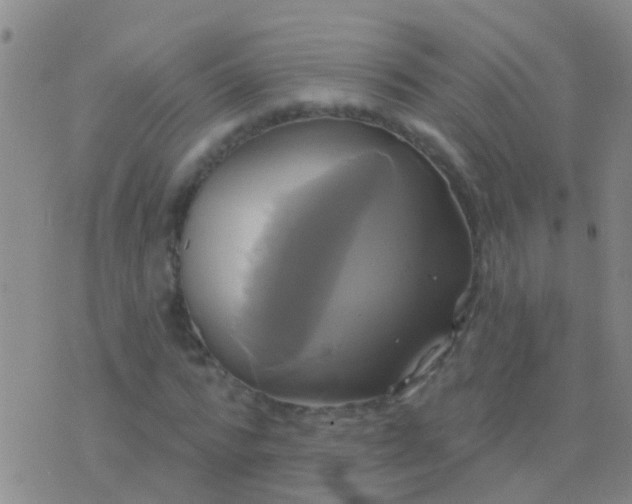 X0000076380776200610202038