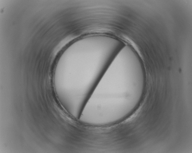 X0000076380779200610202038