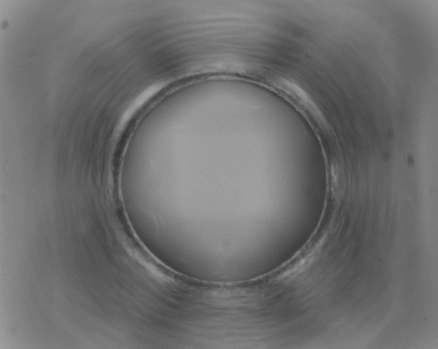 X0000076380780200610202038