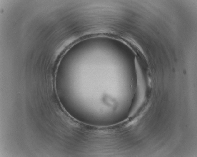 X0000076380781200610202038