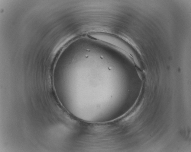 X0000076380782200610202038