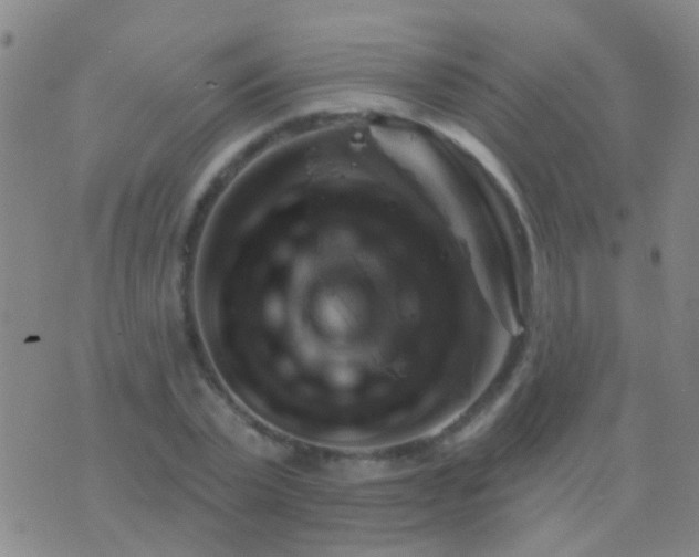 X0000076380783200610202038