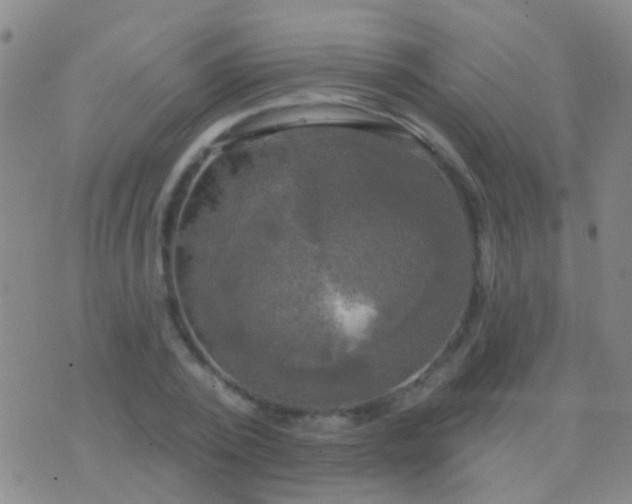 X0000076380784200610202038