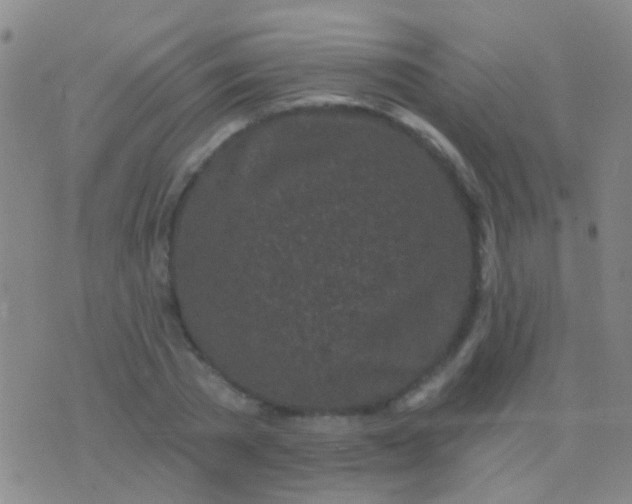 X0000076380785200610202038