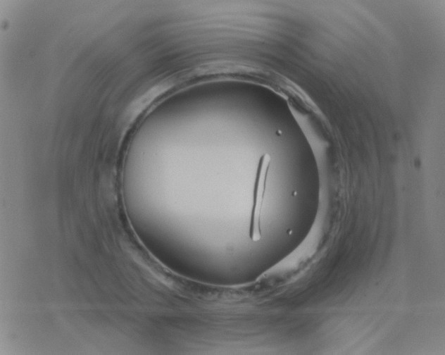 X0000076380786200610202038