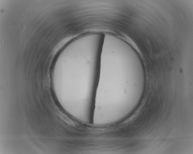 X0000076380787200610202038