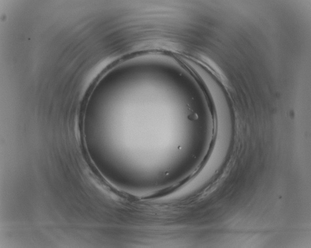 X0000076380788200610202038