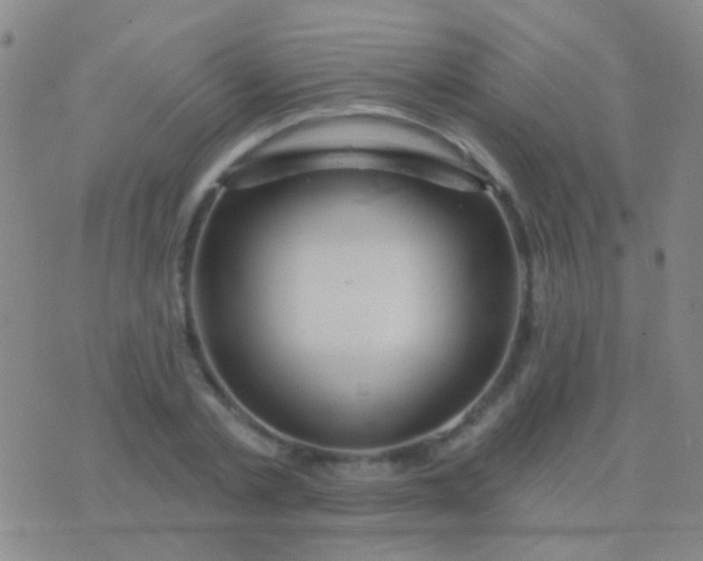 X0000076380789200610202038