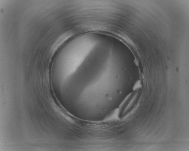 X0000076380790200610202038