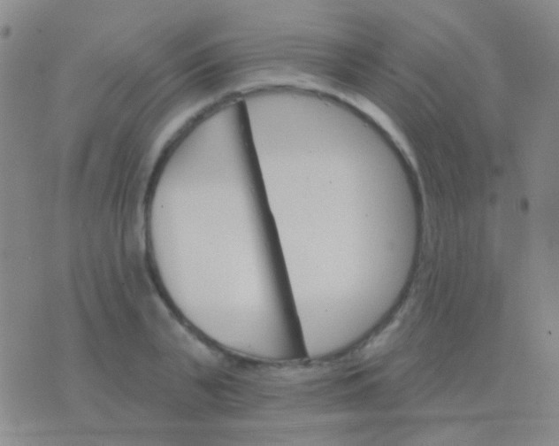 X0000076380791200610202038