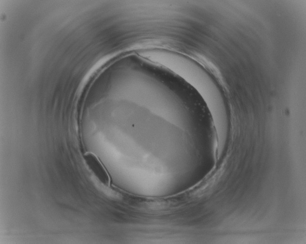 X0000076380792200610202038