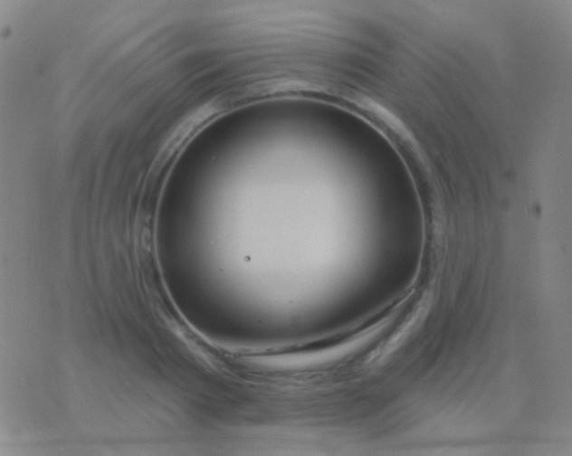 X0000076380793200610202038