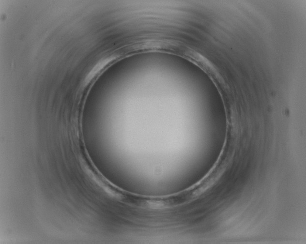 X0000076380794200610202038