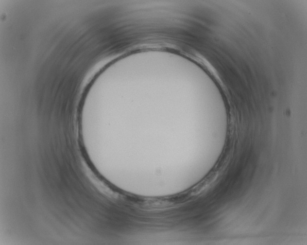 X0000076380795200610202038