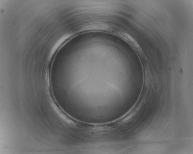 X0000076380796200610202038