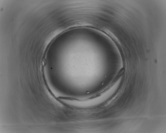 X0000076380797200610202038