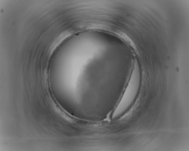 X0000076380798200610202038