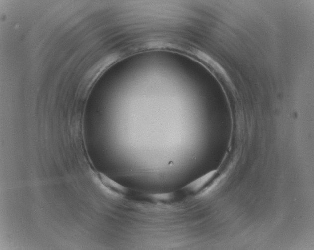 X0000076380801200610202038